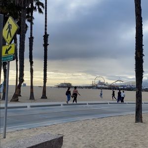 Meet your Posher, Daisy